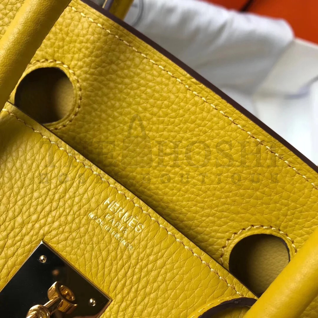 H**me5 Birkin 30 Bag in Yellow Clemence Leather with GHW Master Quality