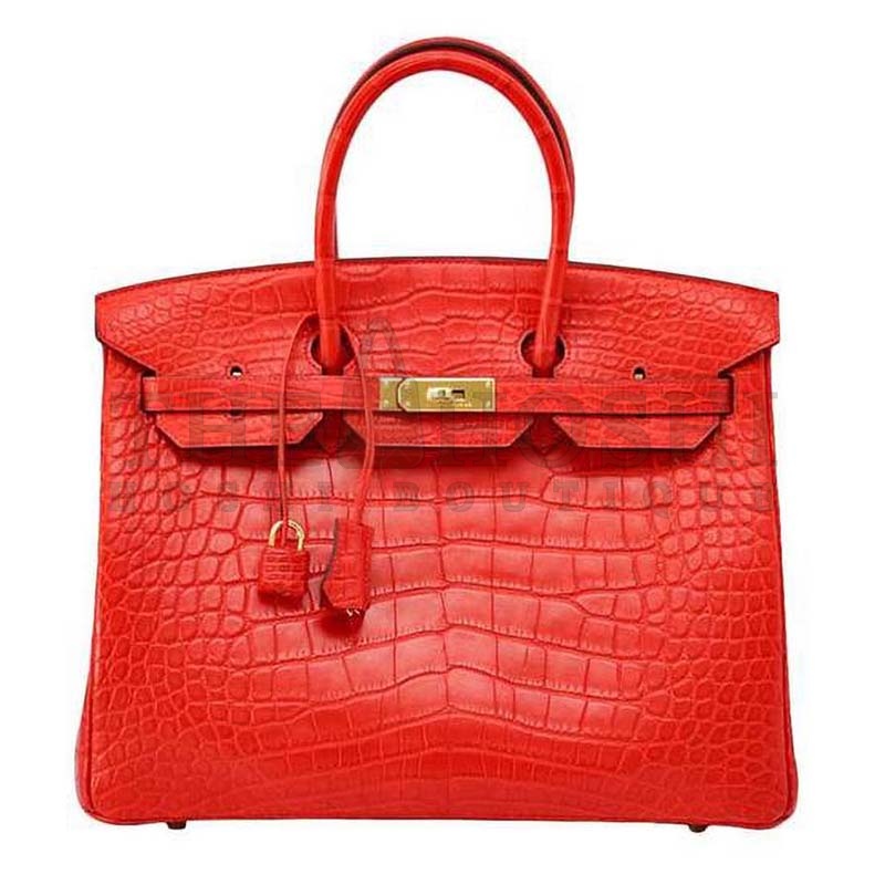 H**me5 Birkin 30 Bag in Alligator Leather with Gold Hardware Master Quality