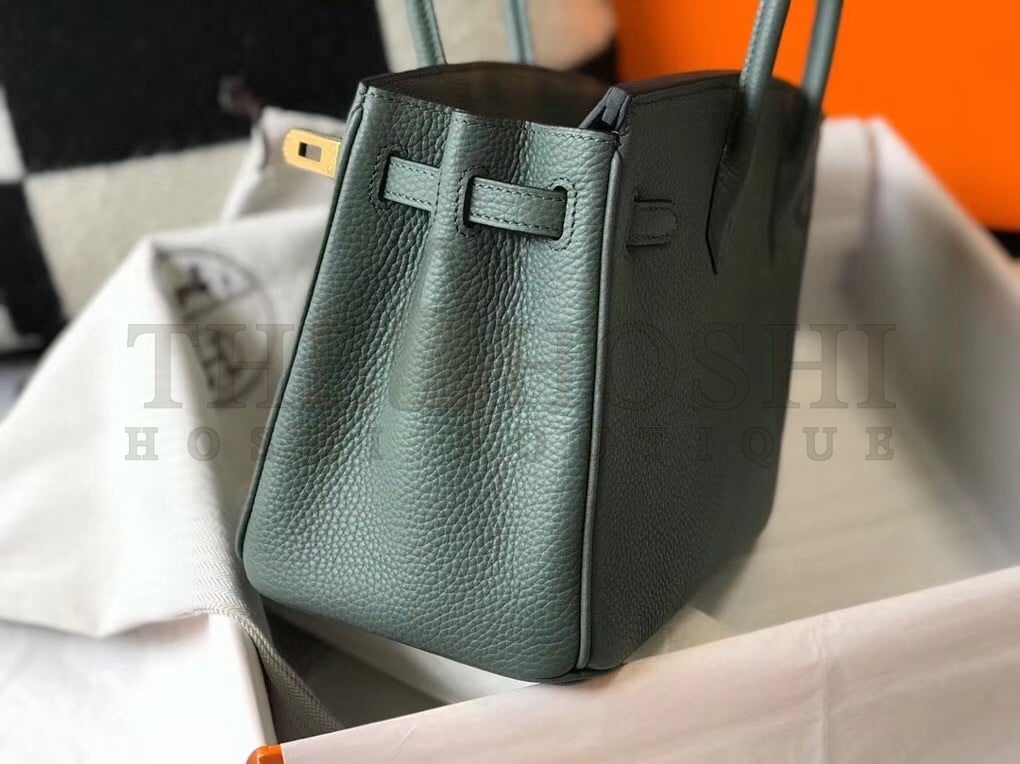 H**me5 Birkin 25 Bag In Vert Amande Clemence Leather with GHW Master Quality