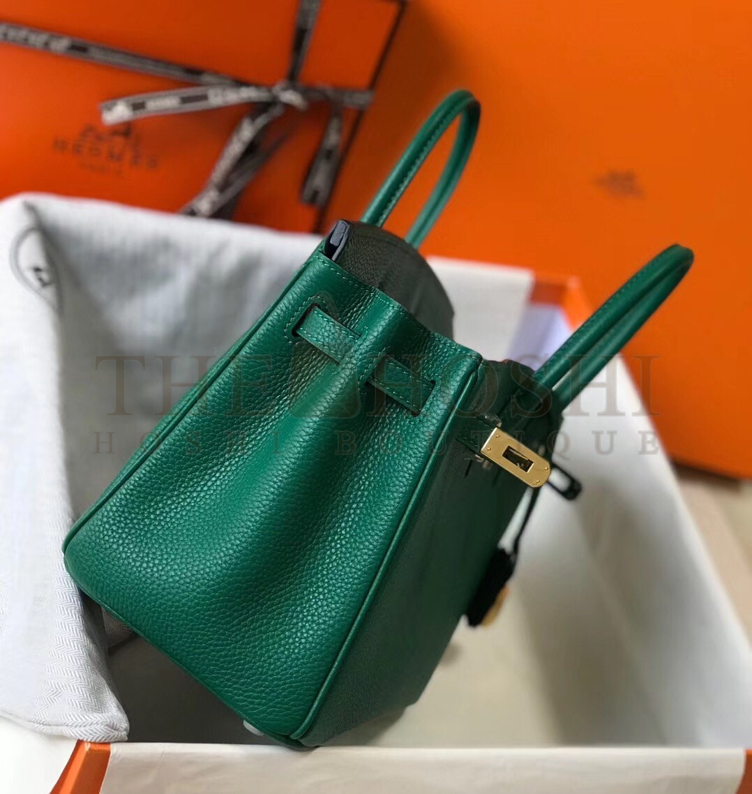 H**me5 Birkin 25 Bag In Vert Vertigo Clemence Leather with GHW Master Quality