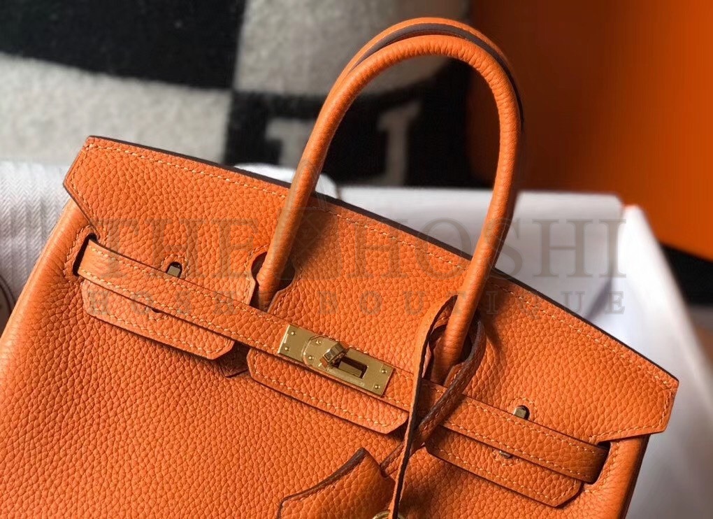 H**me5 Birkin 25cm Bag In Orange Clemence Leather Master Quality